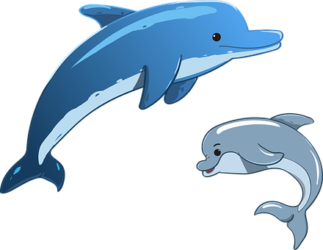 Basen Delfinek w Chocianowie